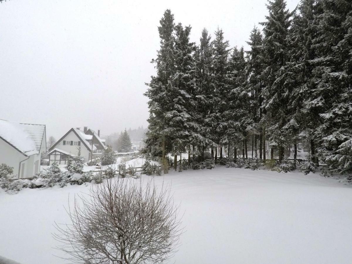 Fewo Kaeppchen Winterberg Exterior photo